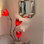 Marseille, bel et spacieux appartement de 60m²